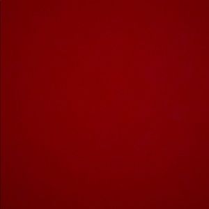 Meet your Posher, Bri